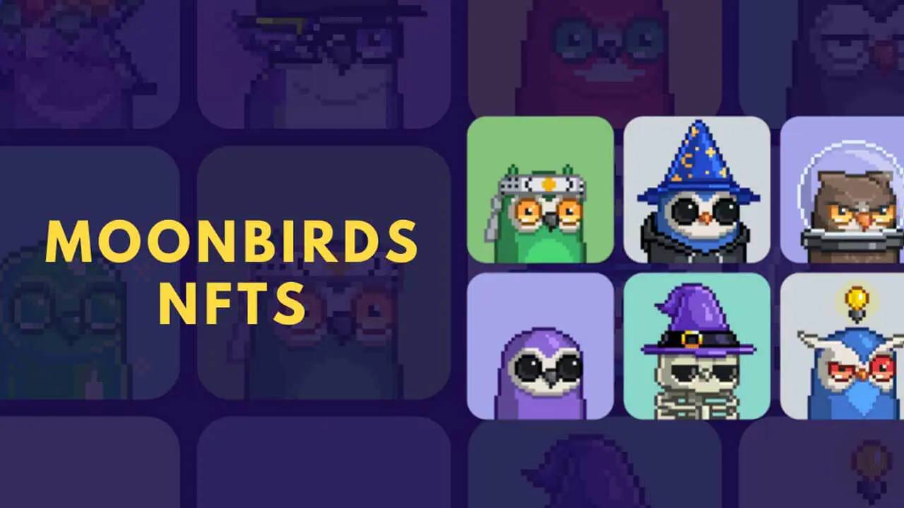 Moonbirds là gì? Tìm hiểu về bộ sưu tập NFT với cơ chế làm tổ độc đáo插图1