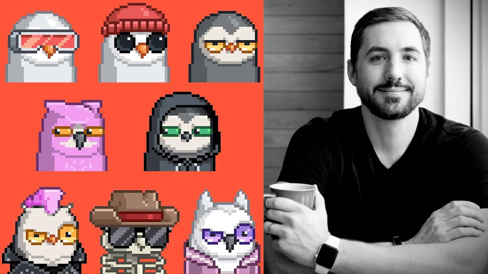 Moonbirds là gì? Tìm hiểu về bộ sưu tập NFT với cơ chế làm tổ độc đáo插图6