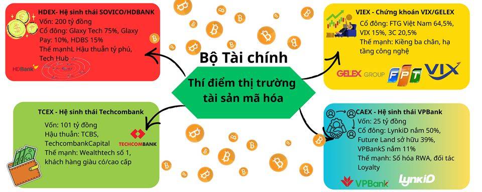 Những “ông lớn” nào đang chiếm ưu thế trong cuộc đua thí điểm tiền mã hoá tại Việt Nam插图1