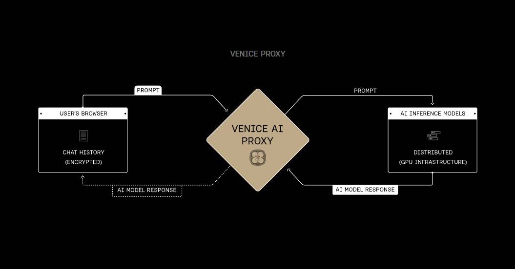 Venice AI là gì? Tìm hiểu về nền tảng AI riêng tư tích hợp Web3插图2