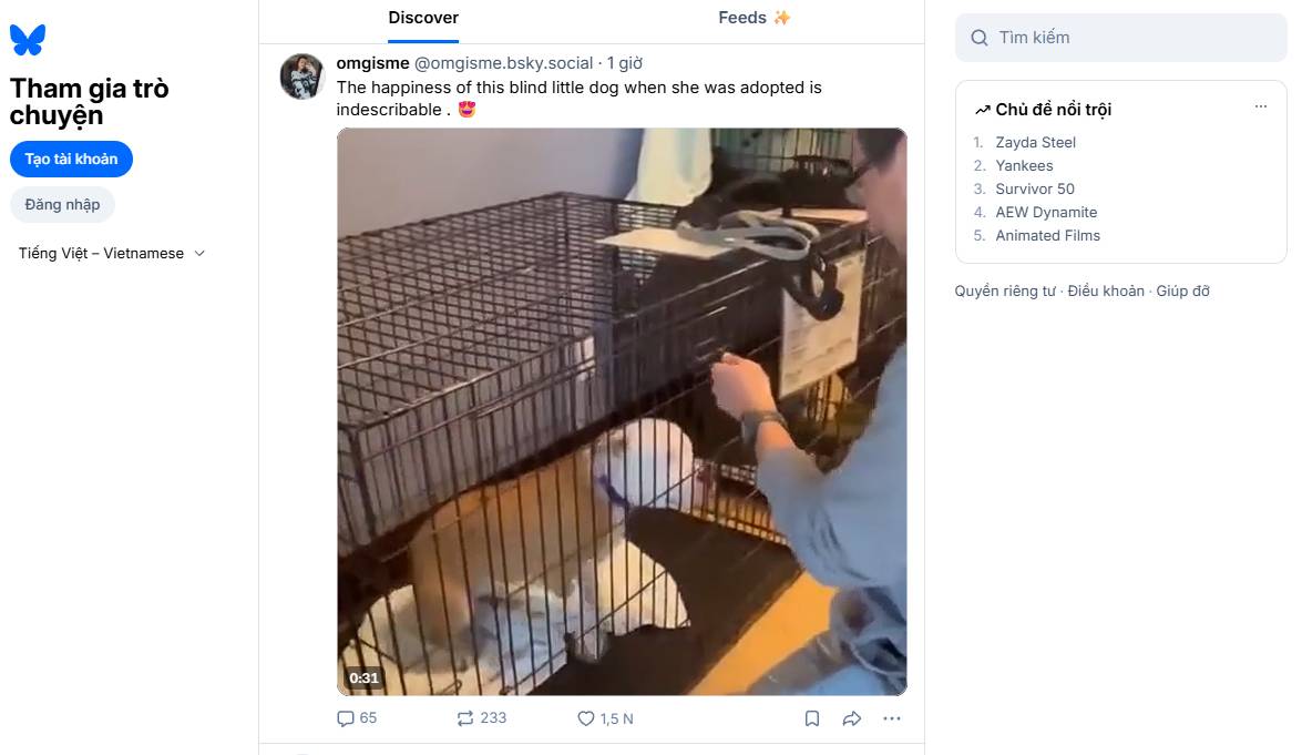 Bluesky là gì? Mạng xã hội phi tập trung được dẫn dắt bởi cựu CEO Twitter插图1 Bluesky là gì? Mạng xã hội phi tập trung được dẫn dắt bởi cựu CEO Twitter插图1