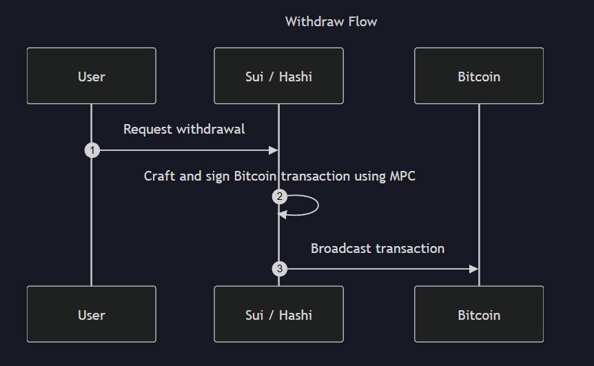 Hashi là gì? Tìm hiểu về giao thức tài chính Bitcoin phi tập trung trên Sui插图3