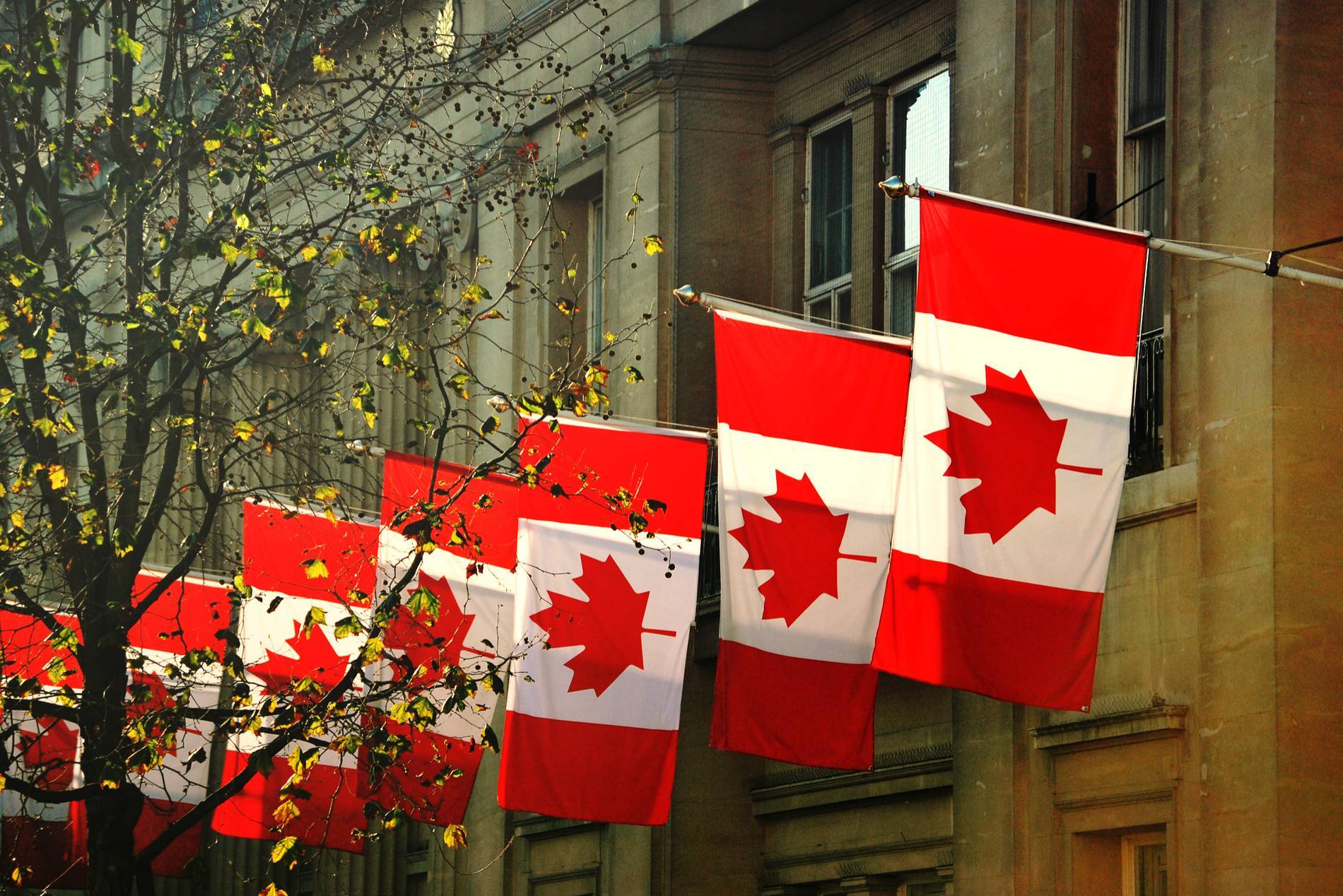 6 ngân hàng lớn nhất Canada bắt tay phát triển tiền gửi token hóa bằng đồng CAD插图