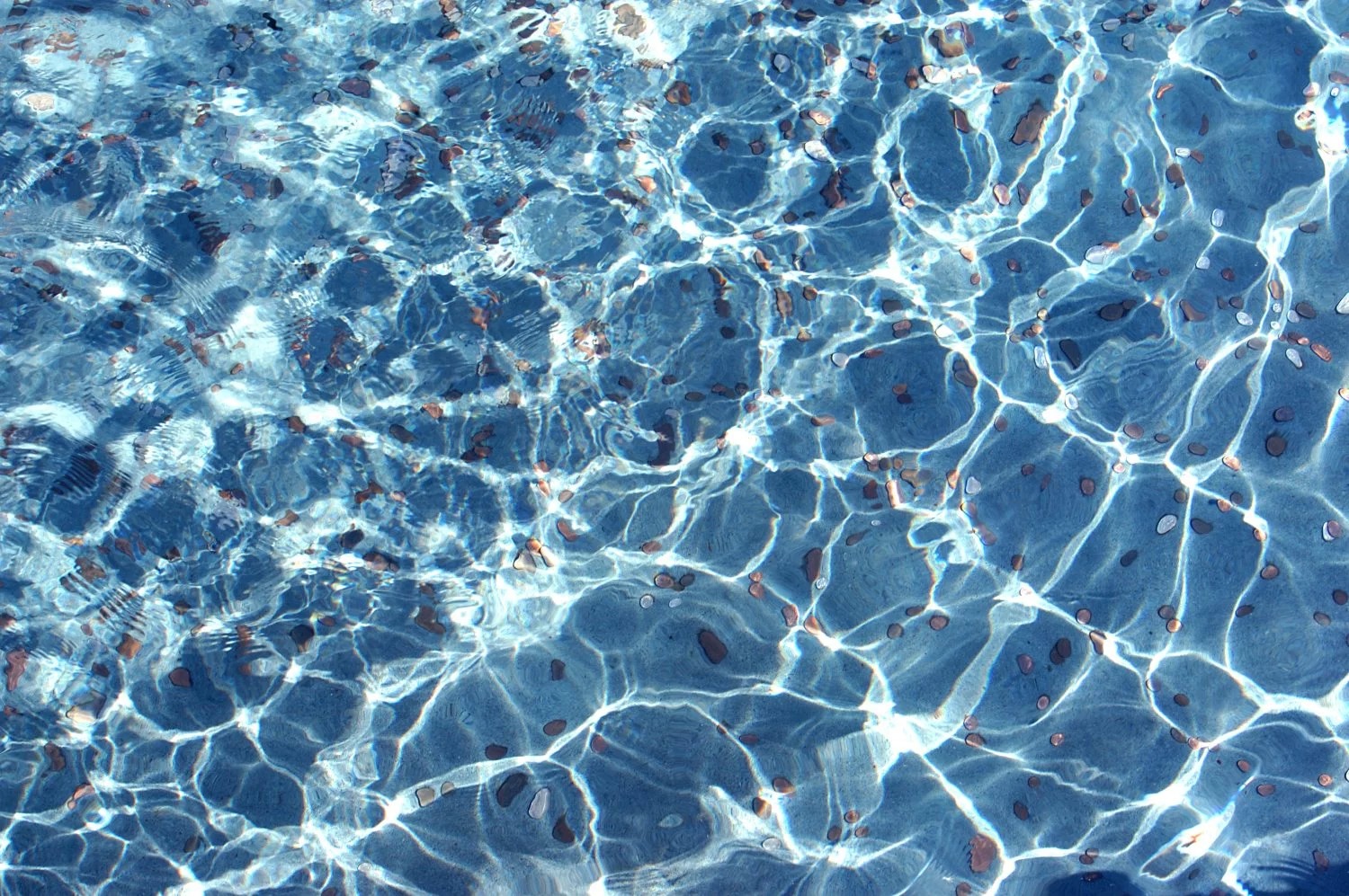 Litecoin và XRP thay nhau lập đáy mới của năm 2018